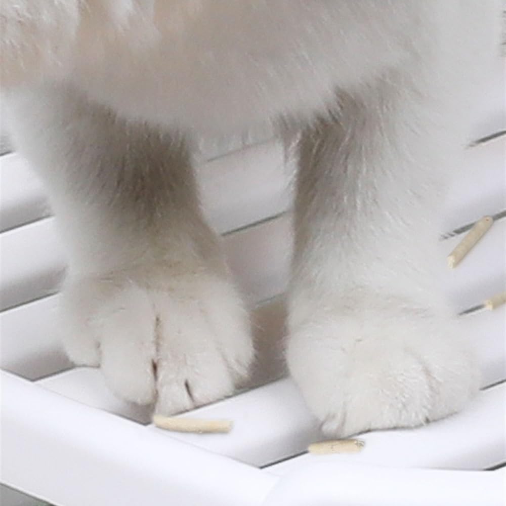 Enclosed Top-Entry Cat Litter Box with Scoop M836