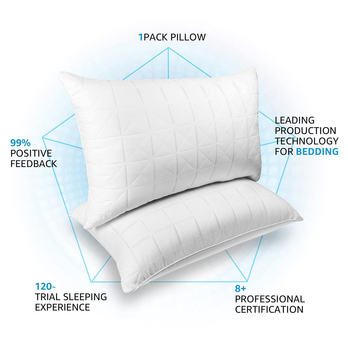 King Size Down Alternative Pillows Set of 2 G868875