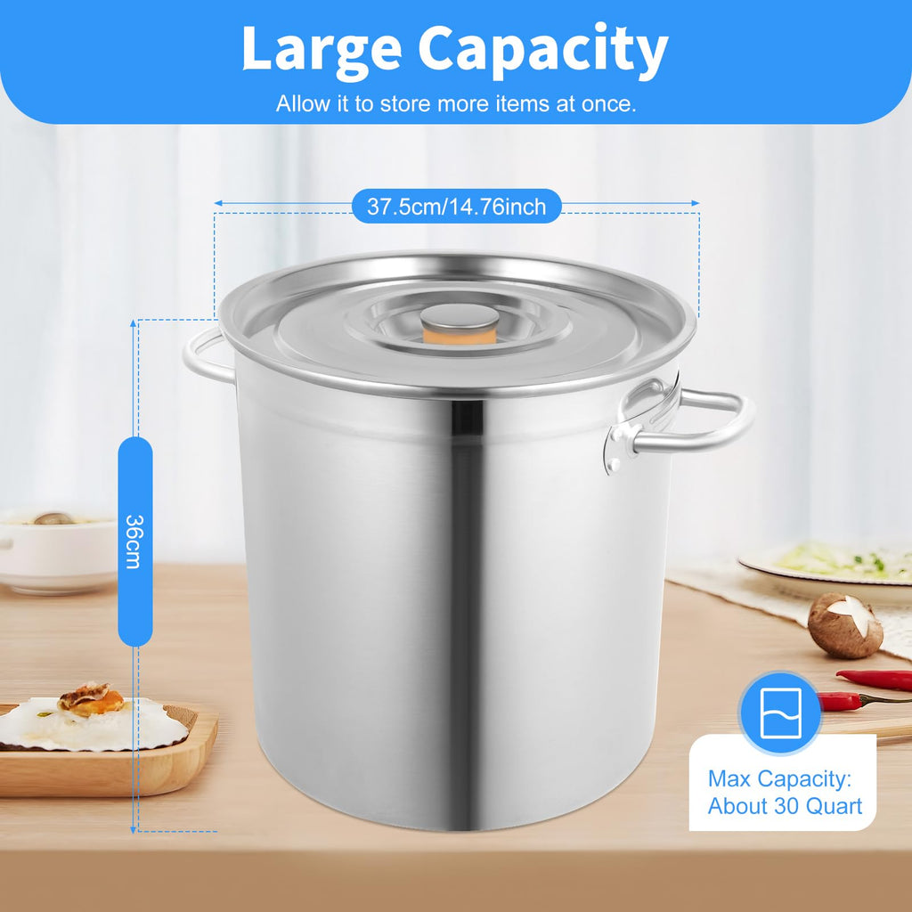 35L Stainless Steel Stockpot with Lid and 2 Handles P644