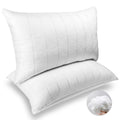 King Size Down Alternative Pillows Set of 2 G868875