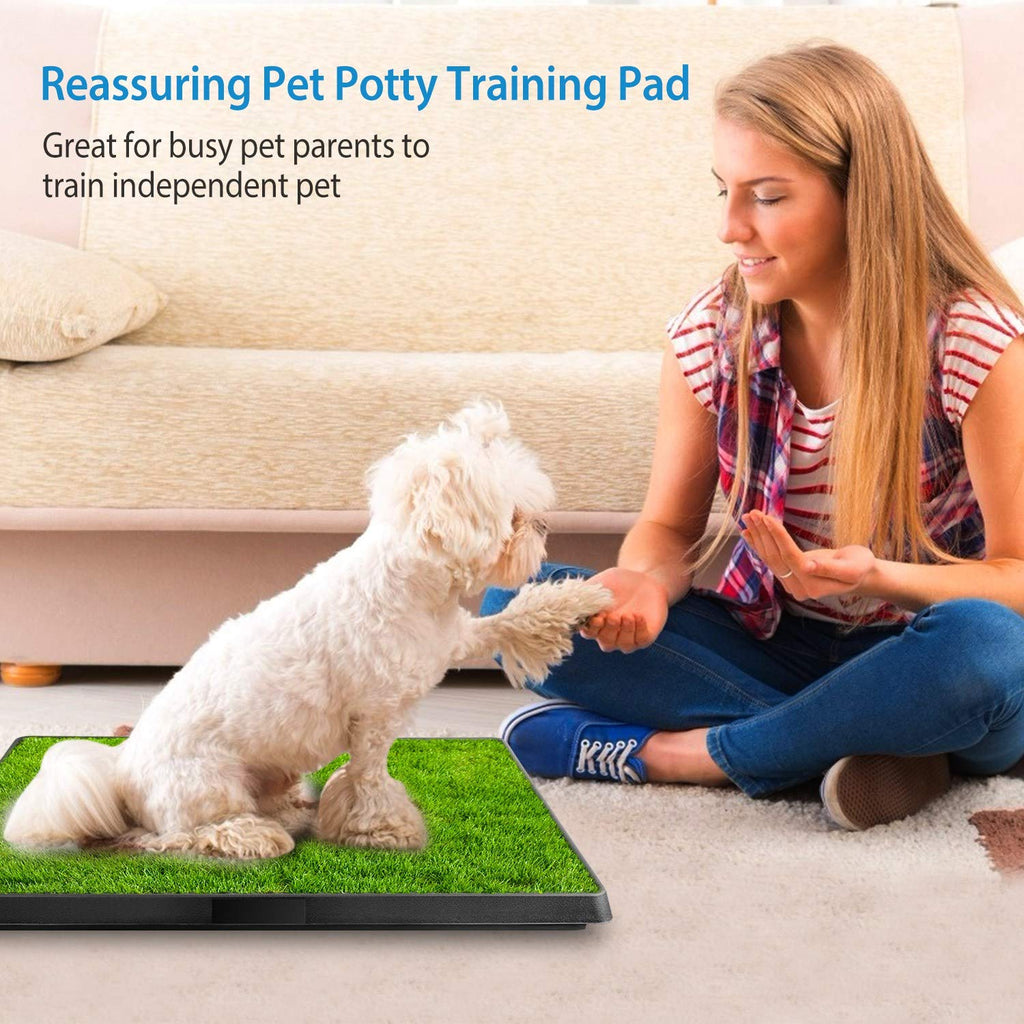 25"x20" Dog Grass Pee Pad with Tray U9065