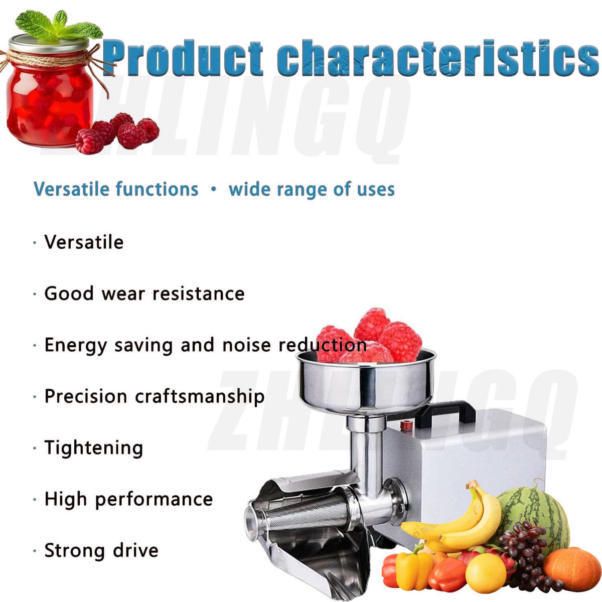 450W Stainless Steel Electric Tomato Strainer N828779
