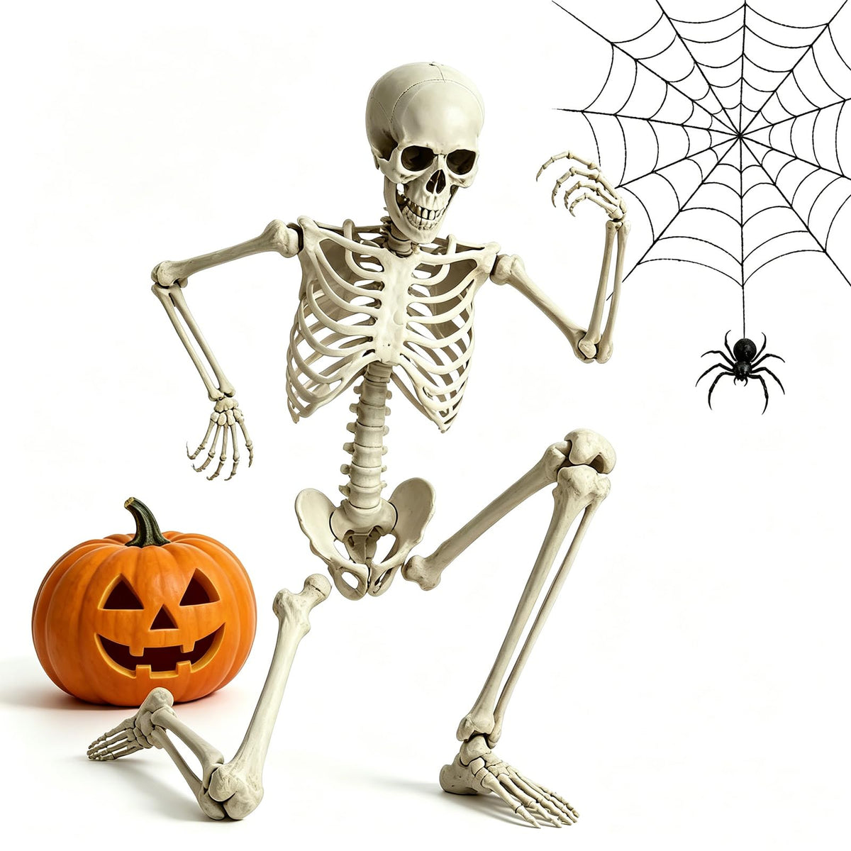 5.4FT Life Size Skeleton with Movable Joints G755