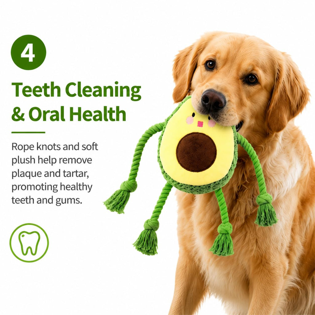 Avocado Rope Plush Dog Toy E6701