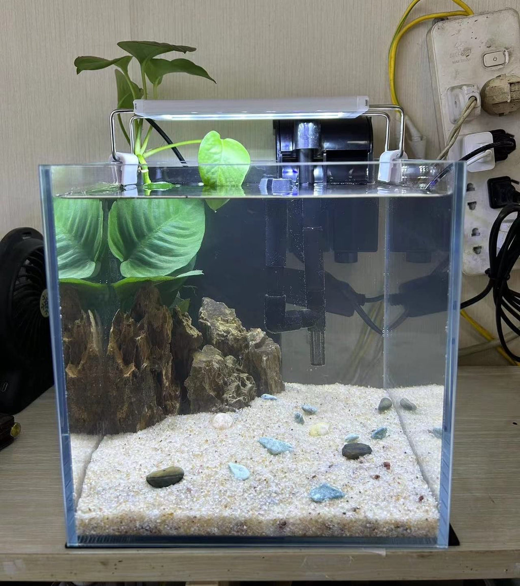 Small Nano Tall Rimless Glass Fish Tank 2 Gallon Y583153