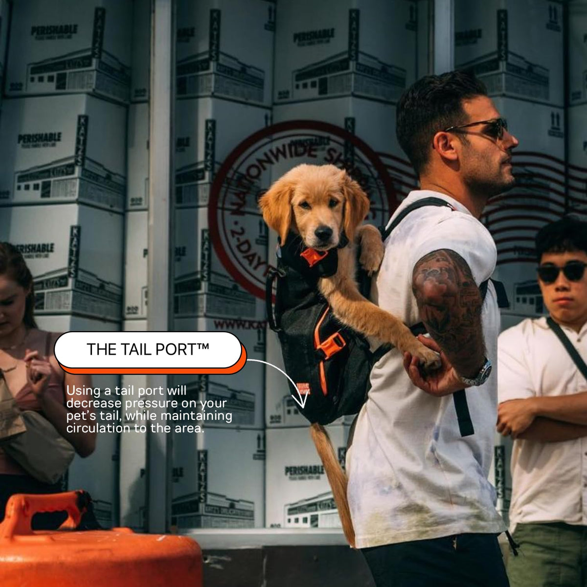 Dog Backpack Carrier A353