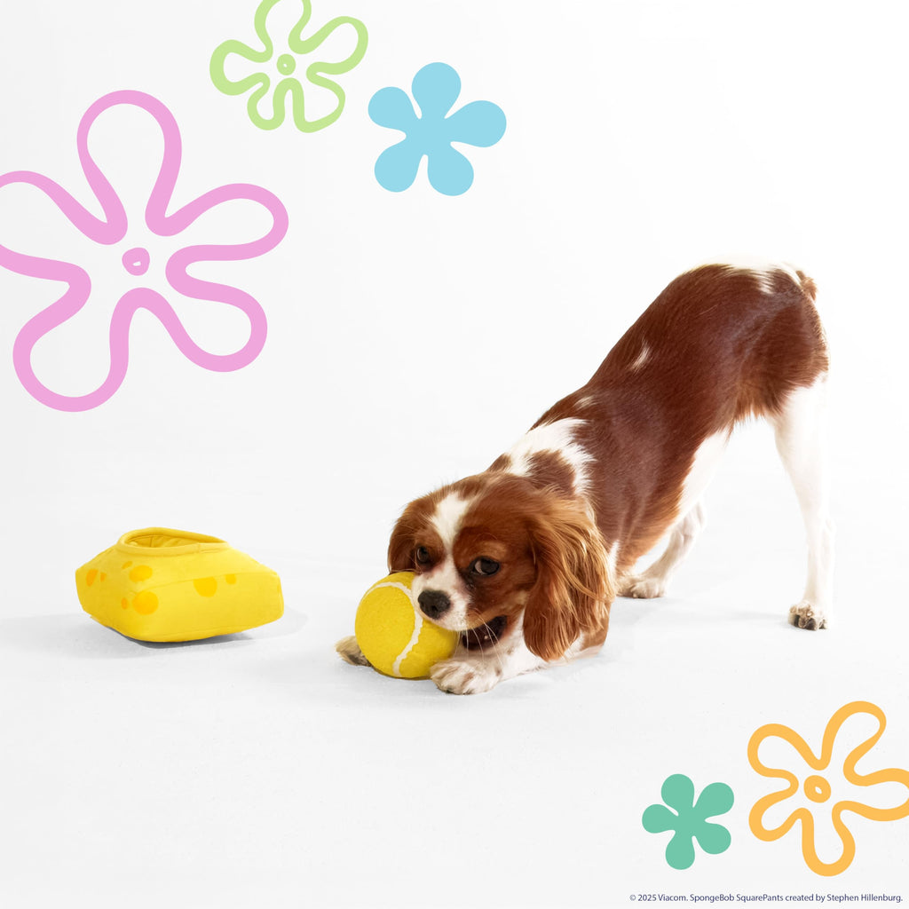 Squeaky Plush Dog Toys 2-Pack F452159