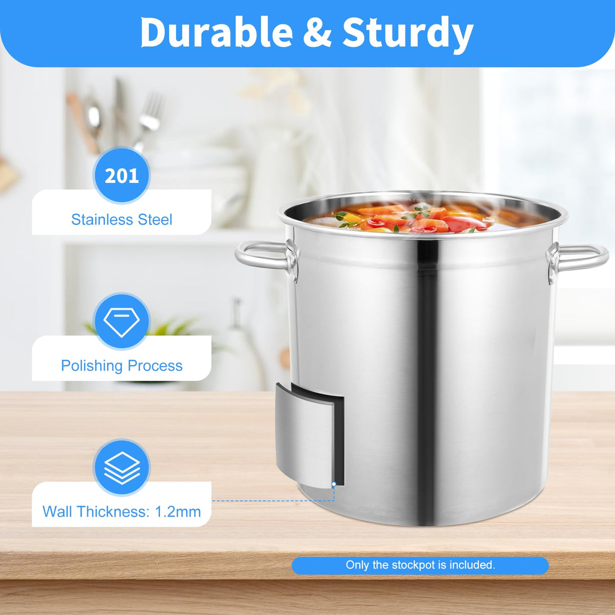 35L Stainless Steel Stockpot with Lid and 2 Handles P644