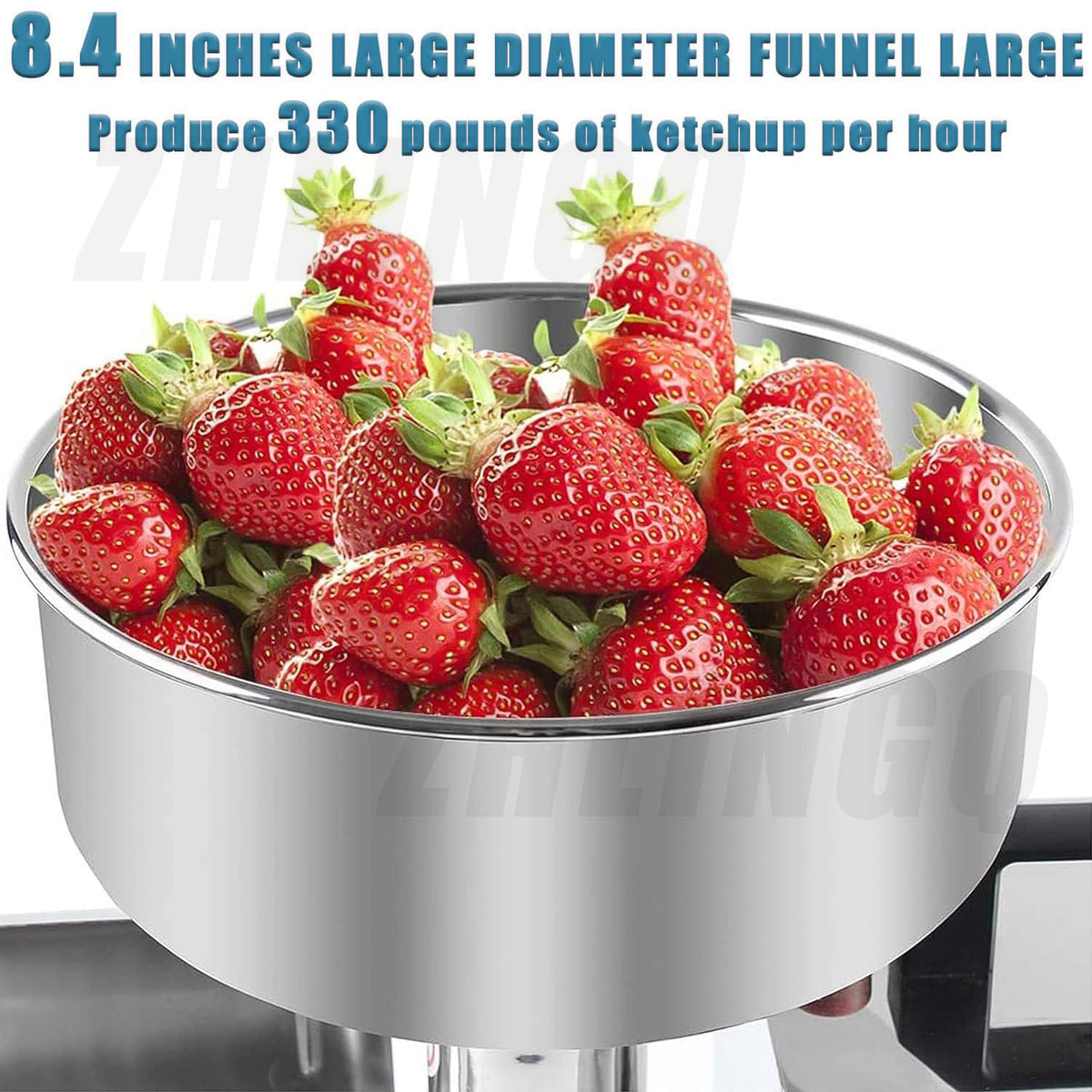 450W Stainless Steel Electric Tomato Strainer N828779