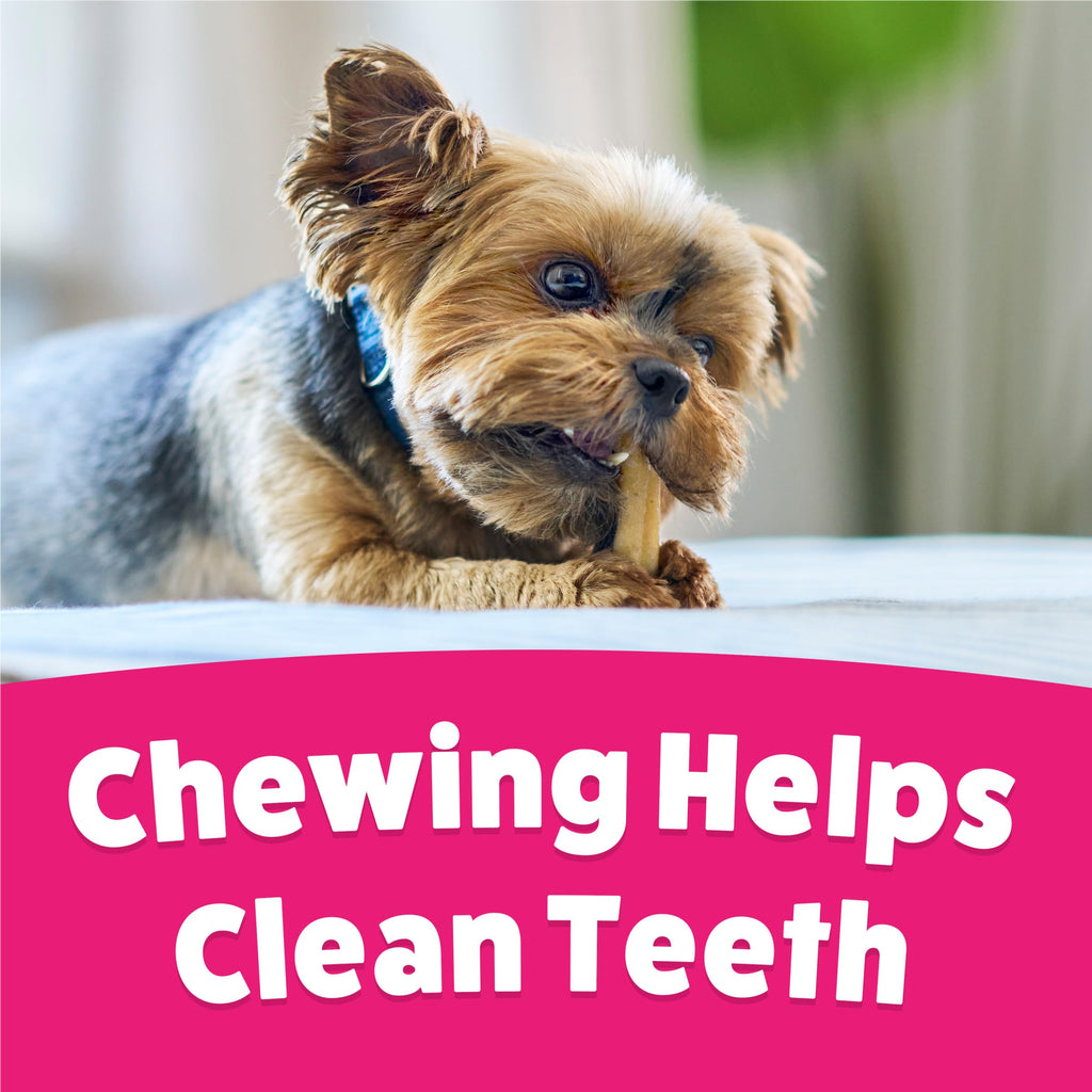 Dog Chew Treats 60 ct Pouch L9942