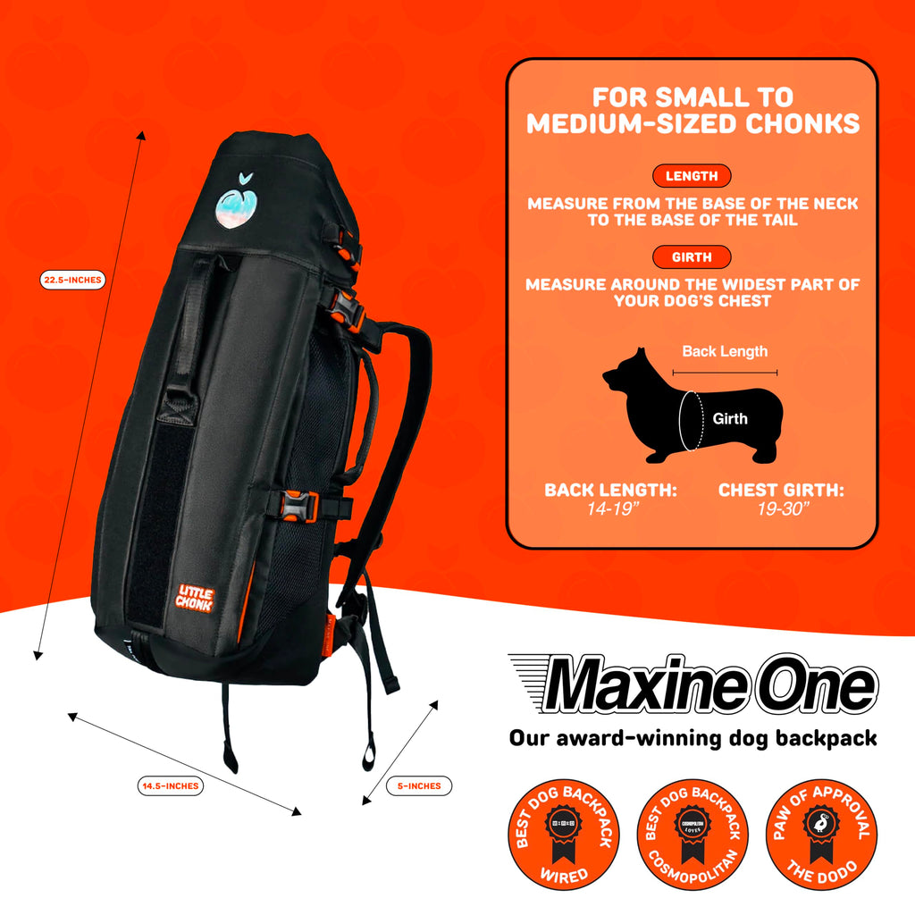 Dog Backpack Carrier A353