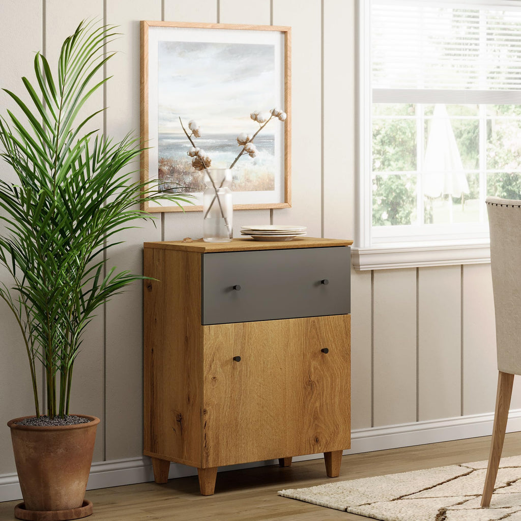 Oak Brown Dark Grey Wood Storage Cabinet with Drawer and Door G450110