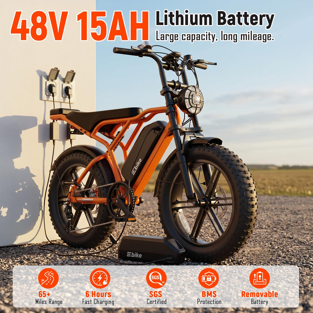 Electric Bike 2000W Peak Motor 48V Removable Battery U172