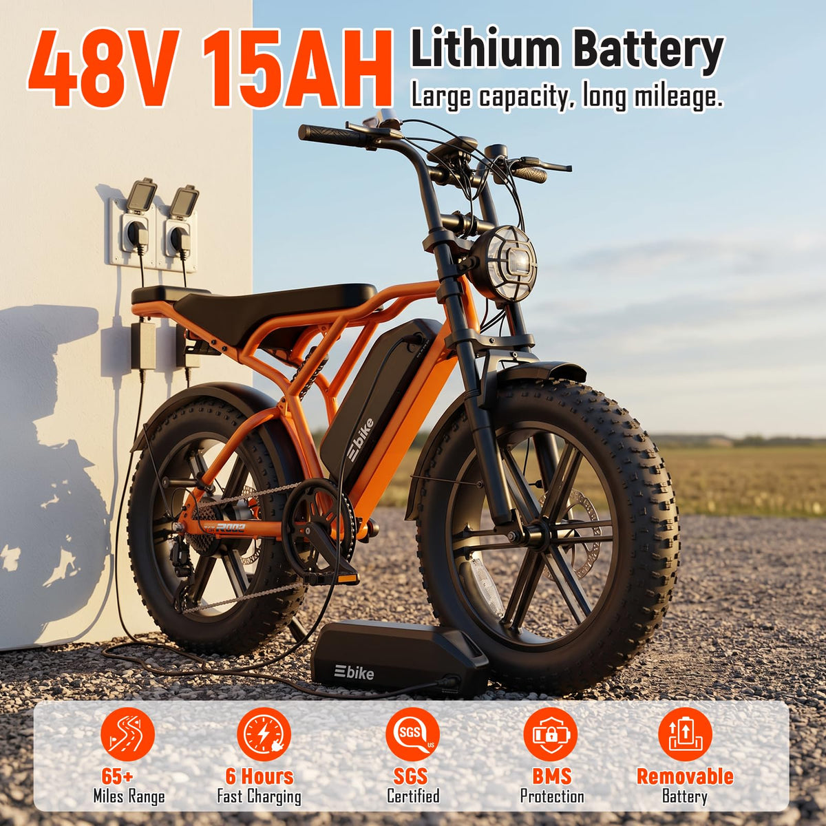 Electric Bike 2000W Peak Motor 48V Removable Battery U172