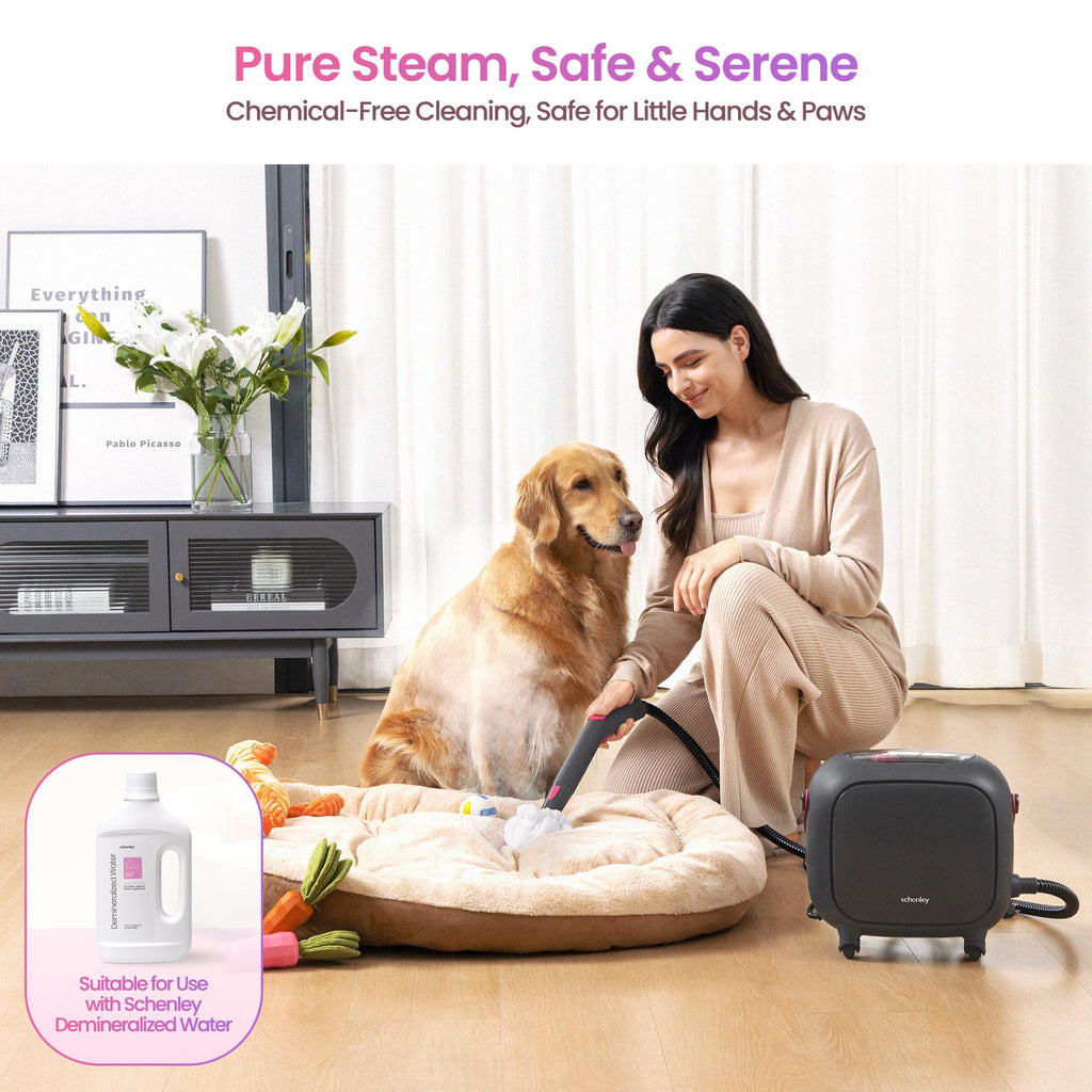 21-in-1 Steam Cleaner W788