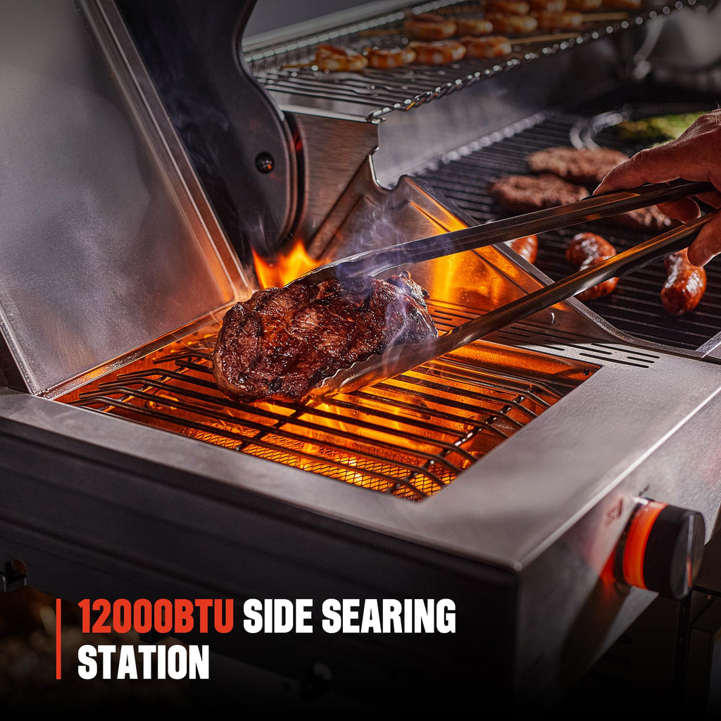 6+1 Burner Stainless Steel Propane Gas Grill with Side Sear Burner C2889