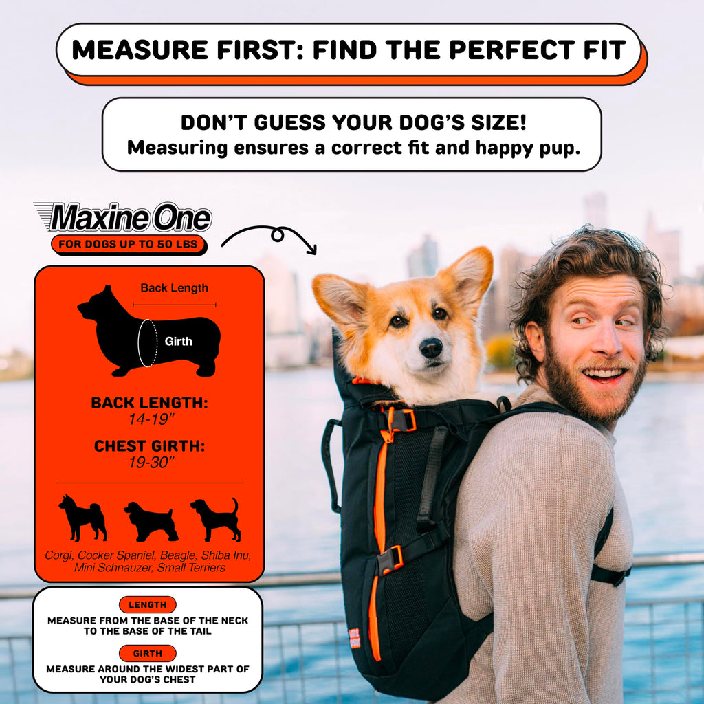 Dog Backpack Carrier A353