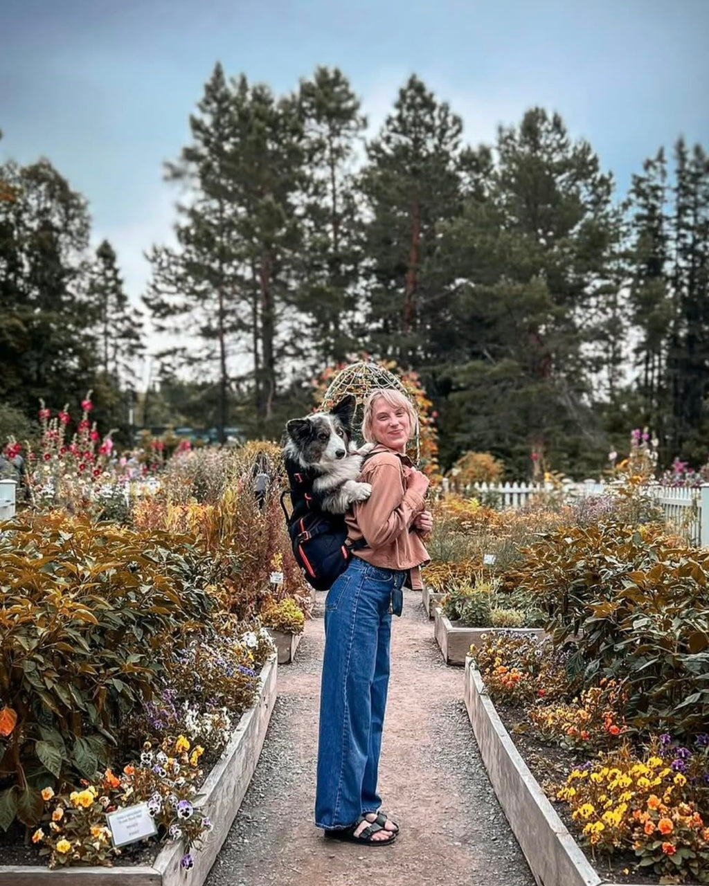 Dog Backpack Carrier A353