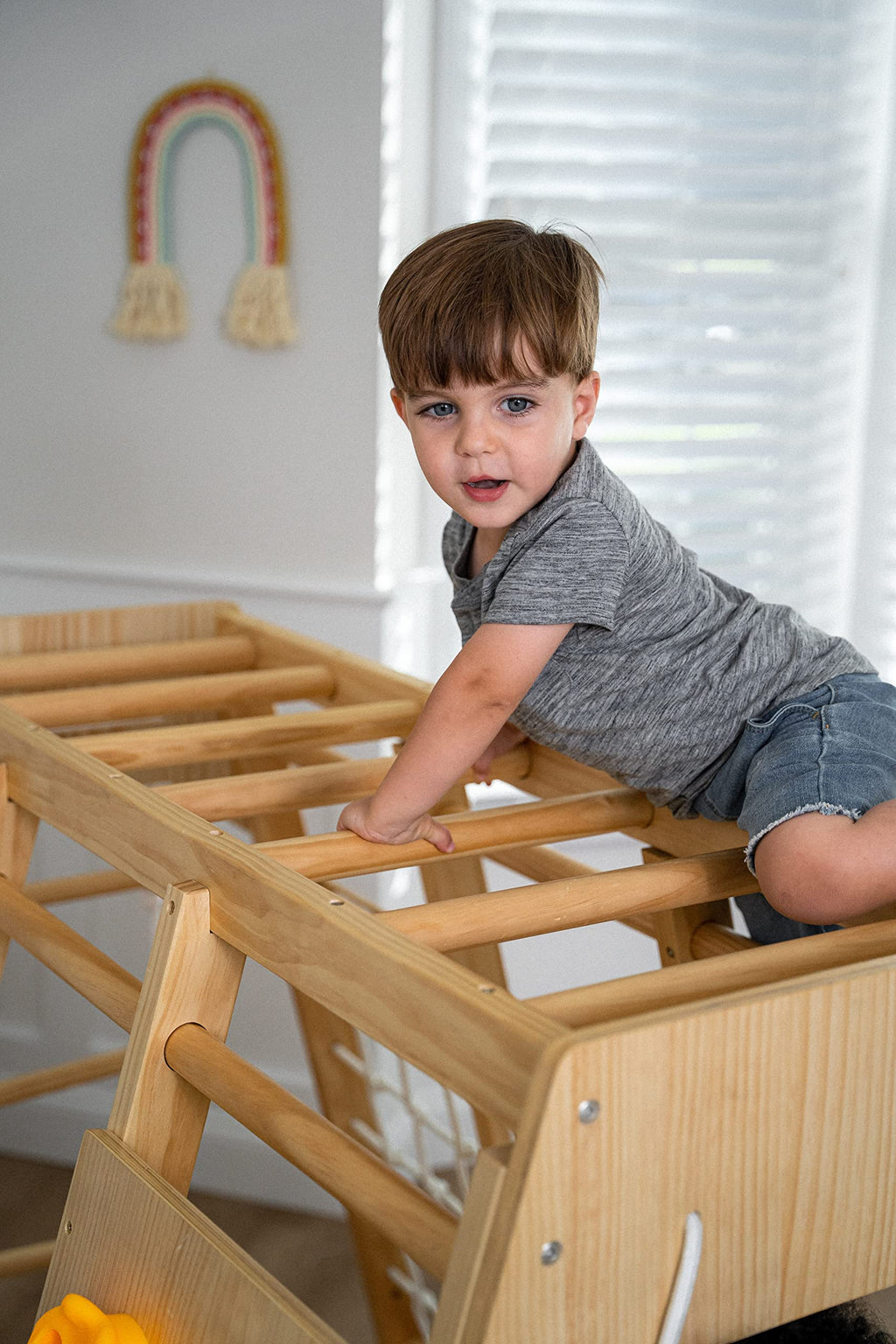 Indoor Jungle Gym for Kids W988