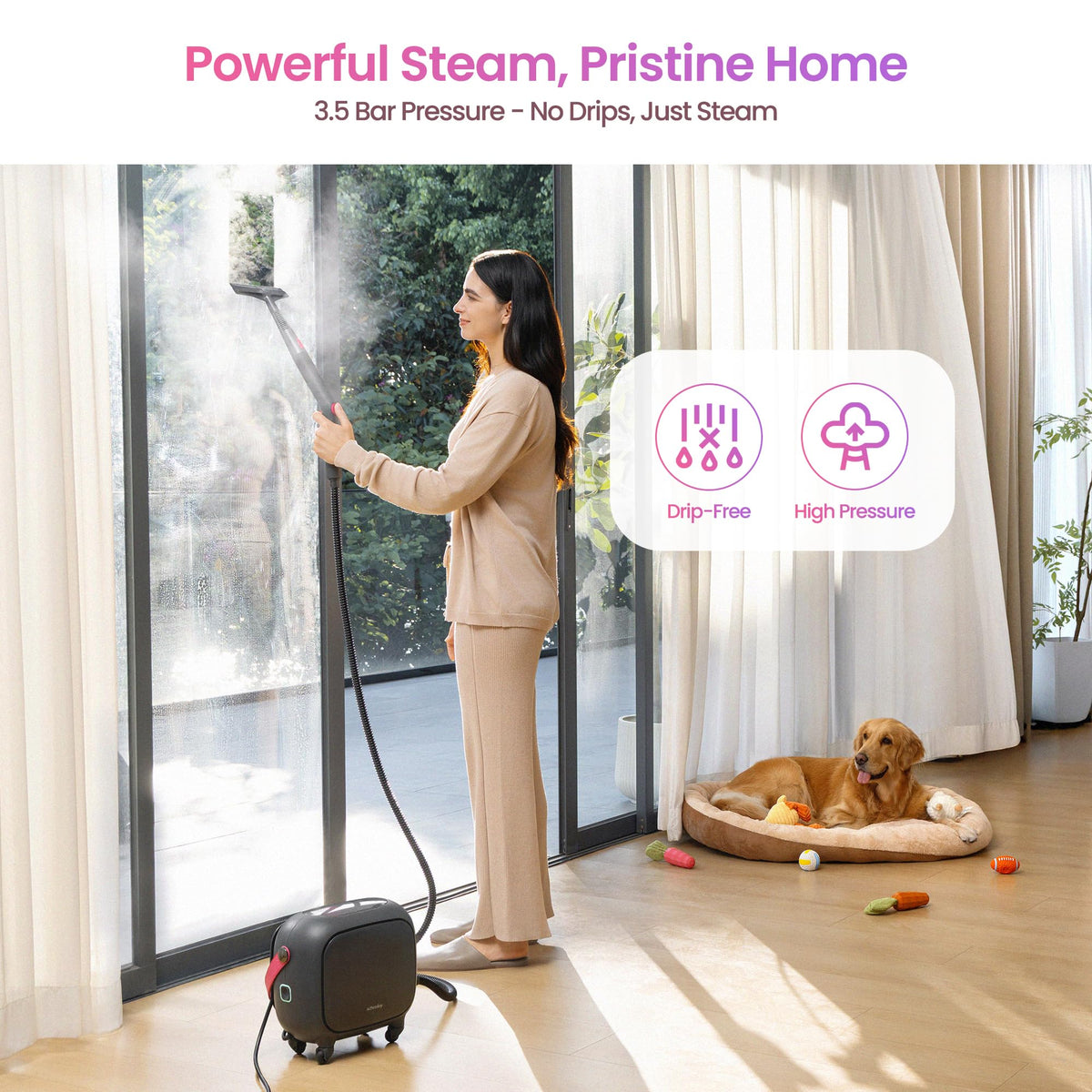 21-in-1 Steam Cleaner W788