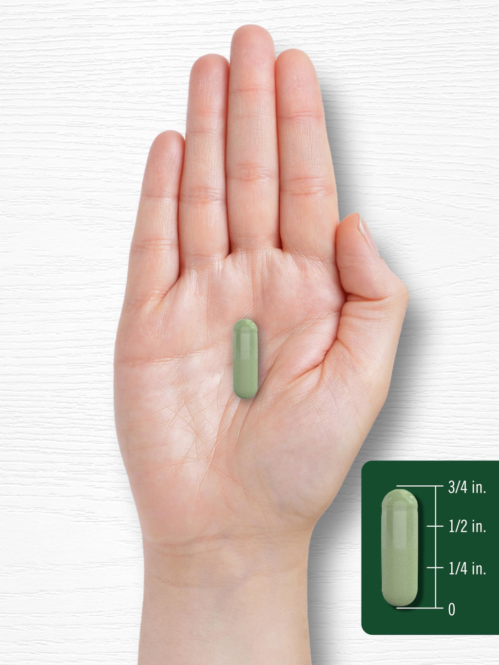 Moringa Oleifera Supplement 180 Capsules X30197