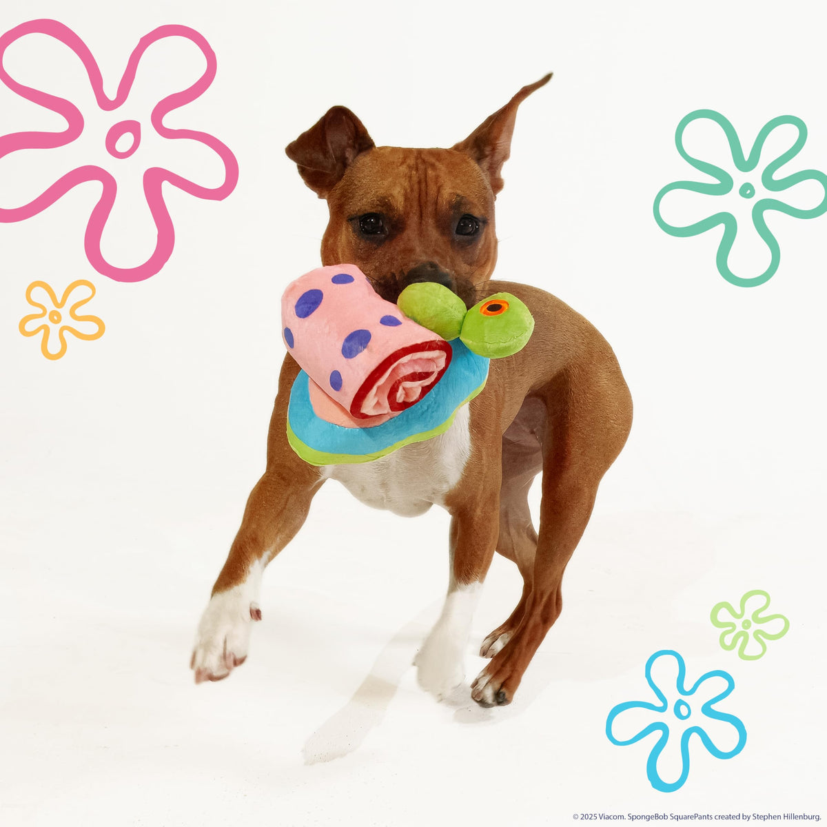 Squeaky Plush Dog Toys 2-Pack F452159