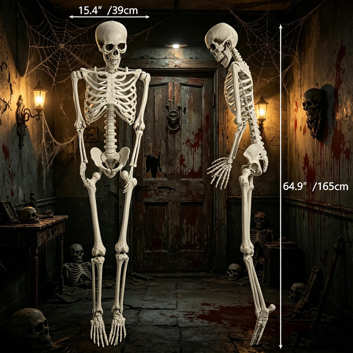 5.4FT Life Size Skeleton with Movable Joints G755