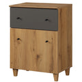 Oak Brown Dark Grey Wood Storage Cabinet with Drawer and Door G450110