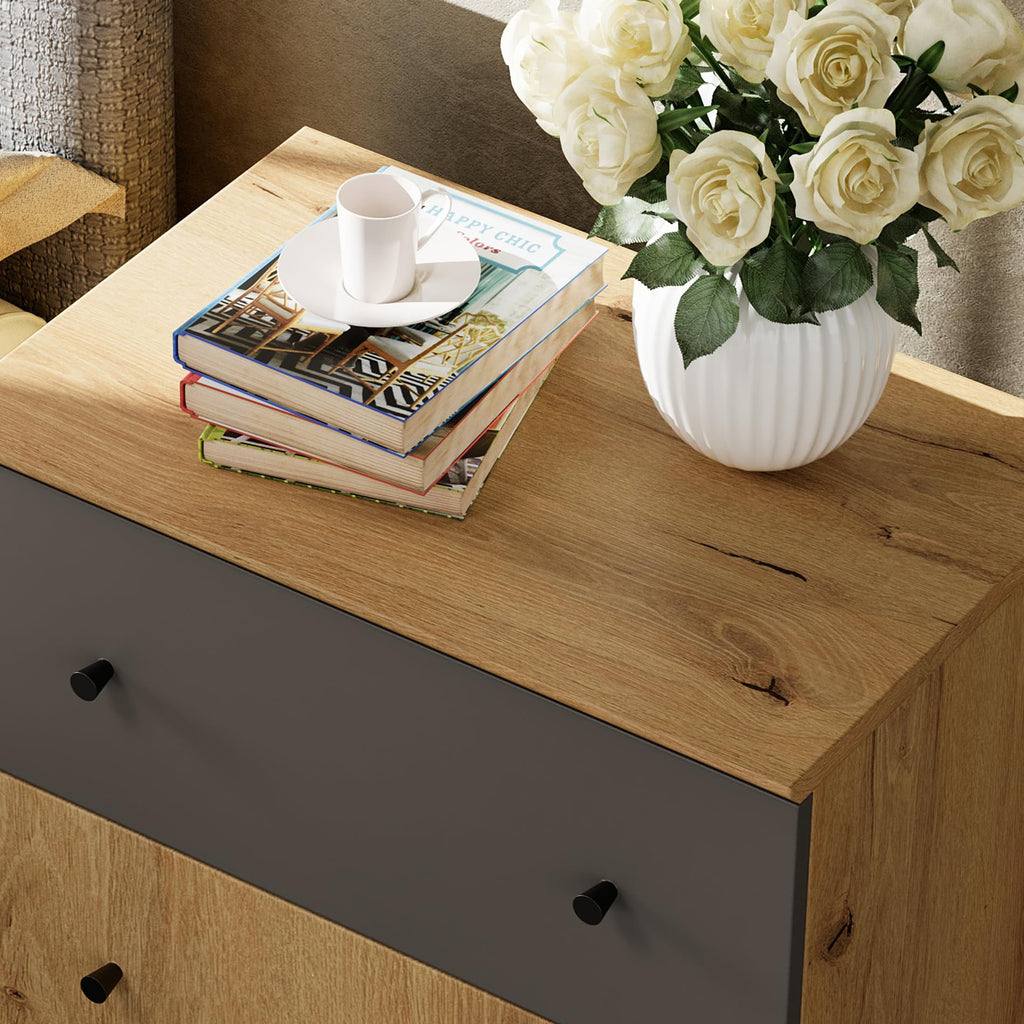 Oak Brown Dark Grey Wood Storage Cabinet with Drawer and Door G450110