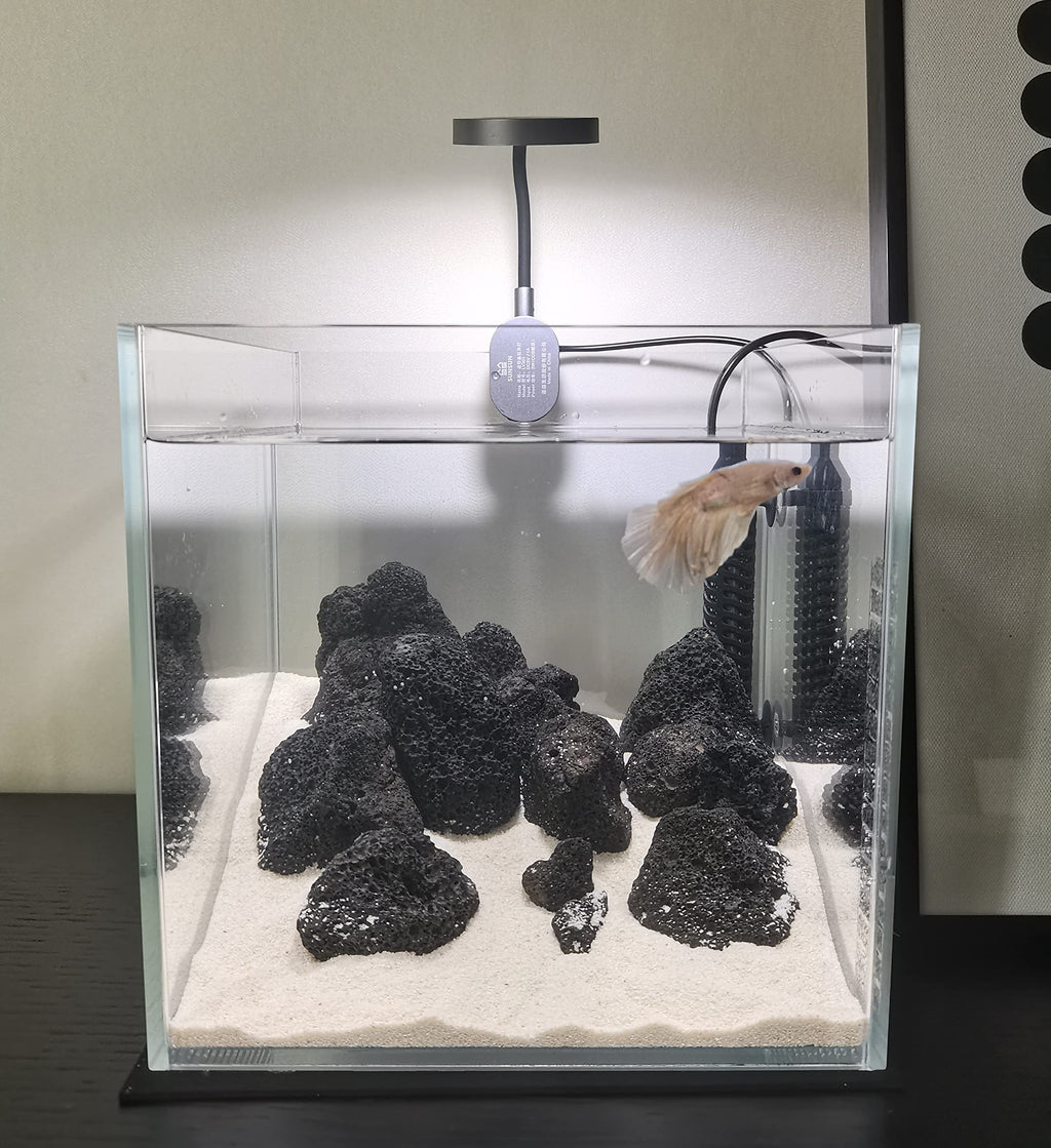 Small Nano Tall Rimless Glass Fish Tank 2 Gallon Y583153