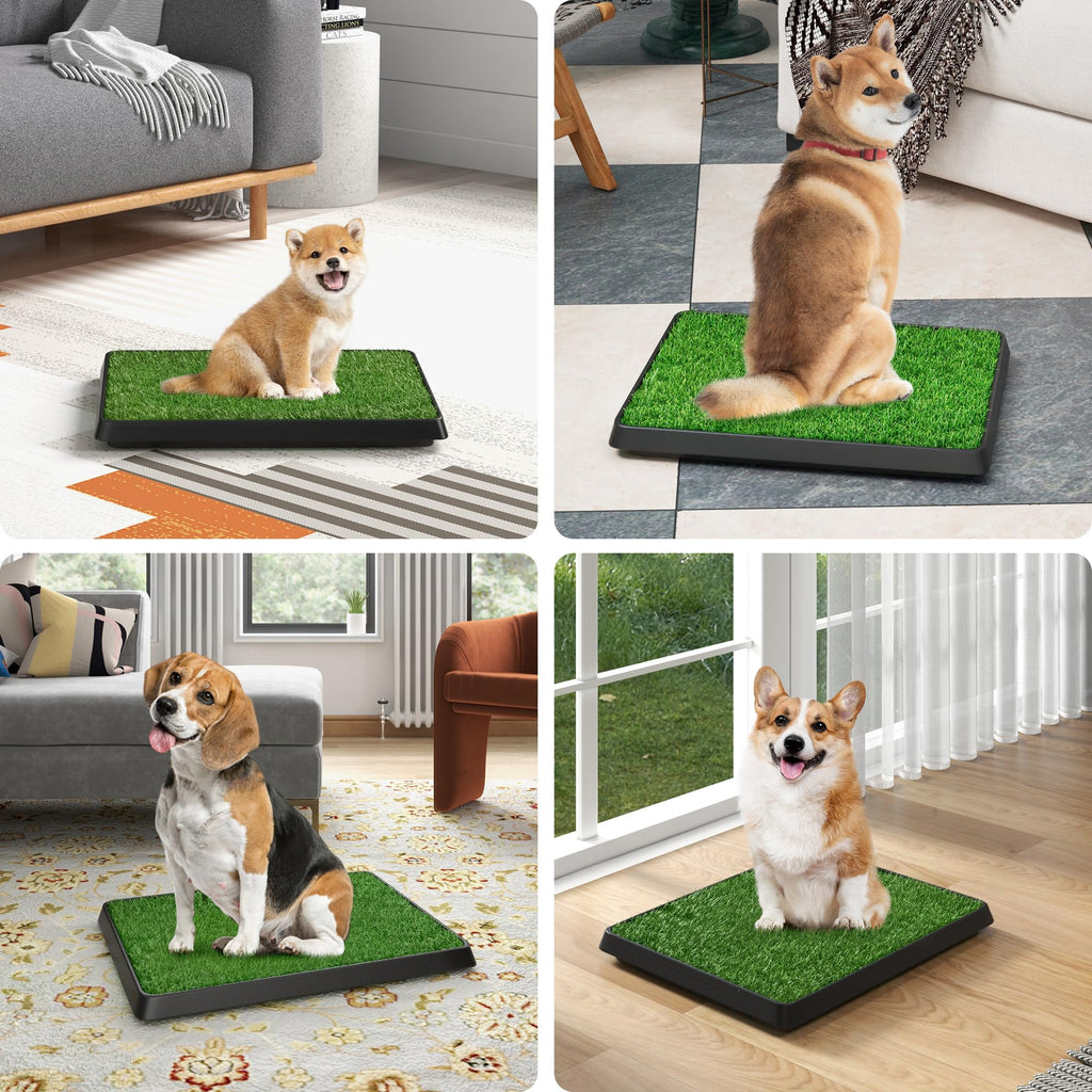 25"×20" Washable Dog Grass Pad with Tray X72722