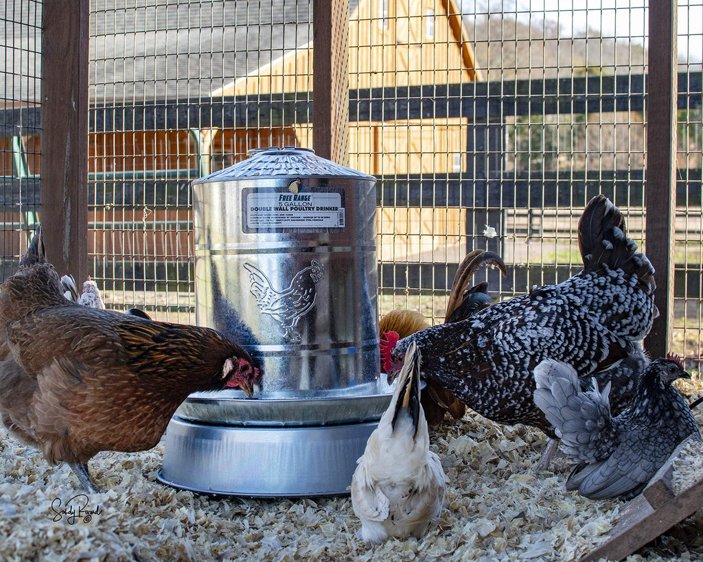 Heated Poultry Drinker Base B396444